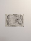 Original Charcoal Pencil Drawing Bald Eagle Wildlife Art A3 Realistic Sketch