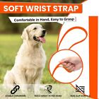 Biothane Long Line Dog Leash 5ft  10ft  16ft  30ft  50ft Pvc Recall Waterproo   