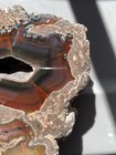 Polished Banded Thunderegg Agate Geode Slice W  Druzy Quartz Crystal Pocket