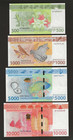 French Pacific Territories 500 1000 5000 10000 Francs 2014-2019 Unc Complete Set