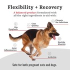 Joint Supplement For Dogs And Cats  Feline   Canine Food Grade Hip   Joint Su   