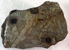 Stunning Iron Nickel Meteorite Sliced On One Side 880 Grams Nice Specimen 