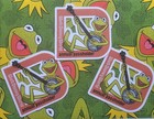 Walt Disney World  Kermit The Frog 3 Annual Passholder Magnets 2026  homemade 