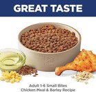 Hill s Science Diet Adult 1-6 Small Bites Dry Dog Food  Chicken   Barley  35 Lb