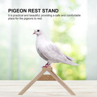 14 Perches For Pigeons Quality Light Wood Easy To Clean   Strong Stand For Birds