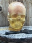 Ballistic Gel Head W  Skull And Brain No Blood
