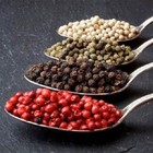 Four Peppercorn Blend  Rainbow Mix  Bulk Spice Grinder Peppermill Refill Medley