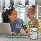 Bar Harbor New England Clam Chowder  15 Ounce  pack Of 6   Packaging May Vary