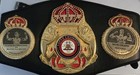 Floyd Mayweather Jr   Boxing Replica Belt  Psa Dna