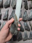 Rare Huge Megalodon Shark Teeth Fossil Tooth Lot Miocene South Carolina Usa
