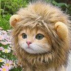 New Cat Cosplay Dress Up Pet Hat Lion Mane For Cat Puppy Lion Wig Costume Party