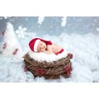 New White Mongolian Faux Fur And Wood Branch Nest Photography Prop