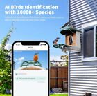 Bird Feeder With Camera With Ai Solar Panel Smart Bird House With Cam Live View