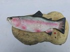 Vintage 1999 Gemmy Travis The Singing Trout Animated Fish Wall Mount Gag Gift
