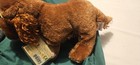 Webkinz Irish Setter Retired W Code Hm177