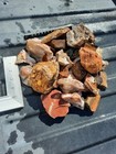 Mixed Agate jasper fossil Etc  Utah Material  8 lb  Rough Lot 