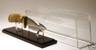 Custom Knife Display Case Holder Randal Cover Rack
