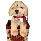 Fao Schwarz Golden Retriever Plush Puppy Nwt In Beautiful    i      u    Decoratored Box