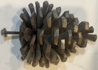 Vintage Antique Cast Bronze Pinecone Door Knocker