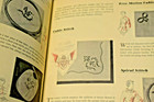 Singer Sewing Skills Reference Book 1955 Na3430 Illustrated Stapled Bound Freede