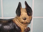 Antique Boston Terrier French Bulldog 10    Cast Iron Doorstop 9 Lbs  Orig  Paint