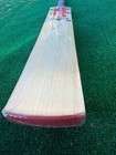 Gray-nicolls Shockwave English Willow Cricket Bat   Big Edges   Pro Performance