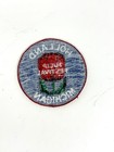 Vintage Souvenir Patch  Holland  Michigan  Tulip Festival  Blue With Red Flower
