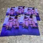 Contemporary Pinup Girl 4x6 Photo - Fine Art Color Print - Brunette Female Form