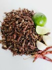 2   Lb  Fresh Chapulines Picositos  spicy Grasshoppers  Oaxaca 