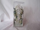 Lenox Holly Leaf Shower Curtain Hooks Set Of 12 New Mint 