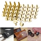20x Arc Belt Screw Leather Craft Chicago Nail Brass Solid Rivet Stud Head 4-10mm