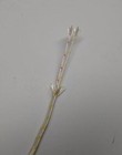 High Temperature K-type Thermocouple Wire Awg 24 Solid W Ceramic Insulation 1 Yd