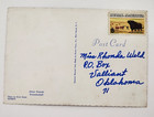 Vintage Postcard Close Friends Freundscaft Dog And Cat Unposted