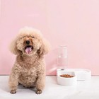Automatic Pet Water Bowl food Dish Dual-use Cat Dog Feeder Moisture-proof Design