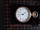 1888 Elgin Grade 43 Pocket Watch 18s 11j Fahys Monarch No1 Case 14k 21yr Stag