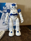 Toy Remote Control Smart Dancing Robot Gesture Sensing Programmable For Kids