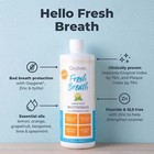 Lemon Mint Mouthwash 16oz Fluoride   Alcohol Free Xylitol Oral Rinse Bad Breath