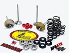 Yamaha Yz250f Kibblewhite White Diamond Intake Exhaust Valves   Spring Kit 01-13