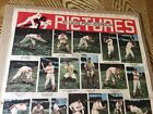 1943 St Louis Cardinals    national League Champions    Original Newspaper Page