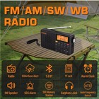 D109wb Portable Radio Am fm sw lw wb Weather Radio Shortwave Radio Receiver With