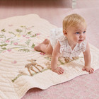 Potterybarn Best Seller Aerin Fawn Baby Quilt
