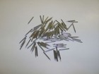 100 Loud Tone Needles   Victor Victrola   Talking Machines   Antique Phonographs