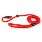 Dog Leash Large Pet Rope Nylon Comfy Walking Leads Adjustable Loop Slip Rope Usa