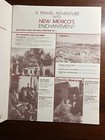 A Travel Adventure Into New Mexico s Enchantment Art Vintage Brochure