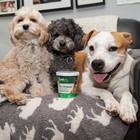 Pre   Probiotic Soft Chews  All Dogs  Liver  120 Soft Chews  180 G  6 3 Oz