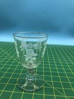 Vintage Unmarked Clear Etched Botanic Roses Glass Goblet 8 Oz Floral Decorative