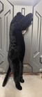 2025 Ucc Exclusive Crazy Kitten 20    Standing Cat Plushy Black New