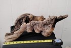 Driftwood Burl Natural Sculpture Wood Carving Woodworking Decorative Diy