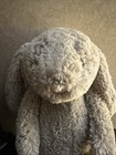 Jellycat London Beige Bashful Bunny Rabbit Plush Stuffed Animal 12  Tall Soft