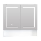 Led Lighted Medicine Cabinet With Mirror   Defogger Wall Mounted Storage Cabinet